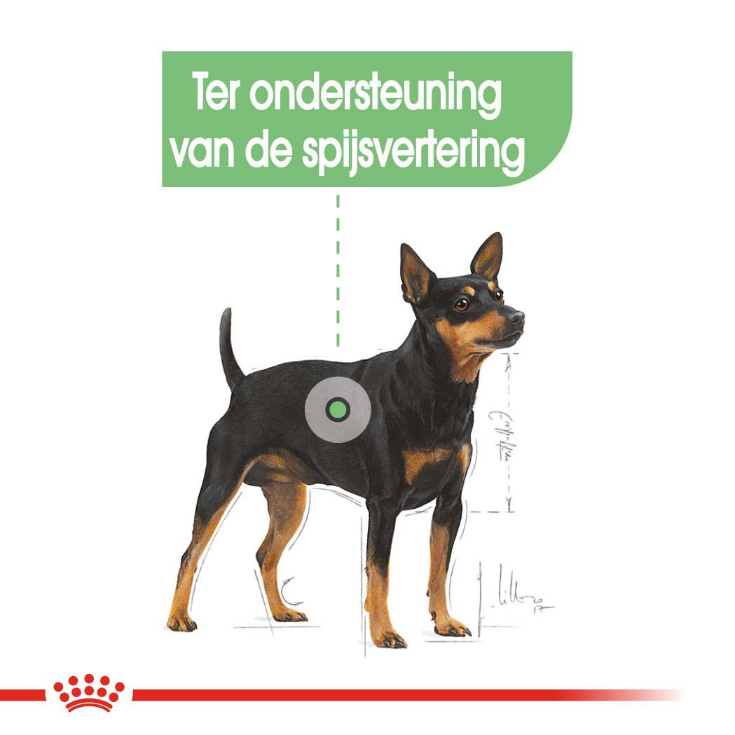 Royal Canin Digestive Care Mini - Hondenvoer - 3 - gevogelte