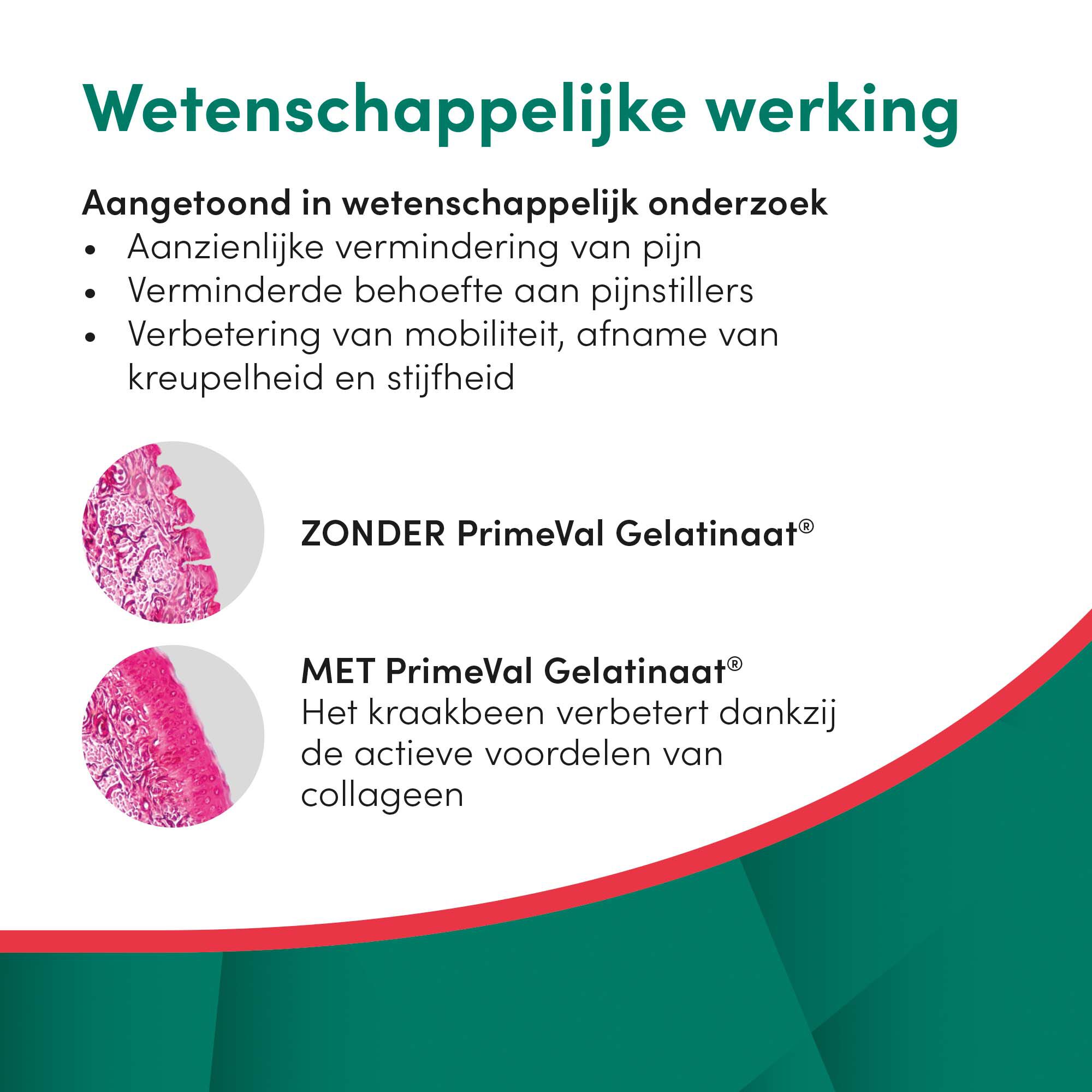 Primeval Gelatinaat Puppy - Voedingssupplement - 350