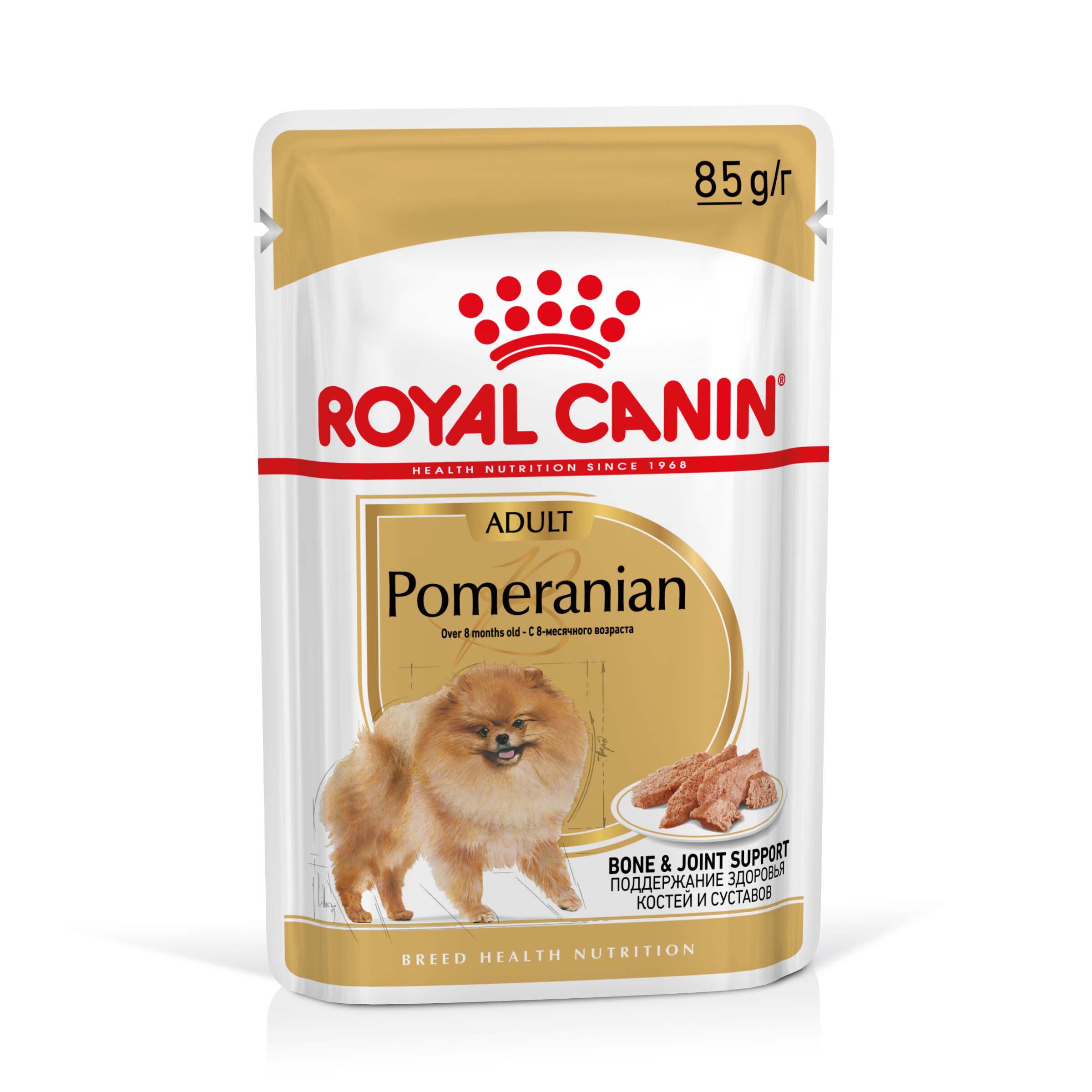 Royal Canin BHN Pomeranian  Adult - Hondenvoer - 12x85 gram