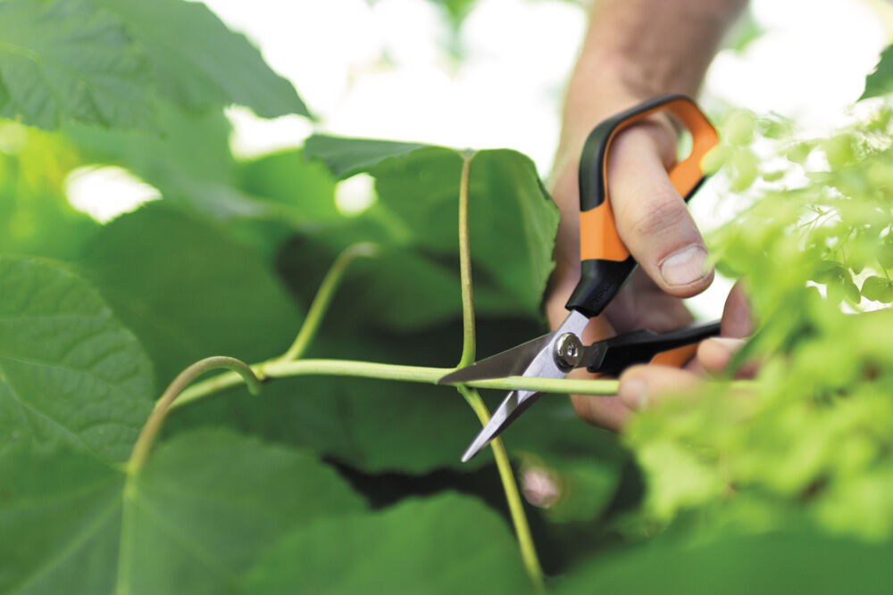 Fiskars Solid Snip SP15 Bloemen - Snoeischaar