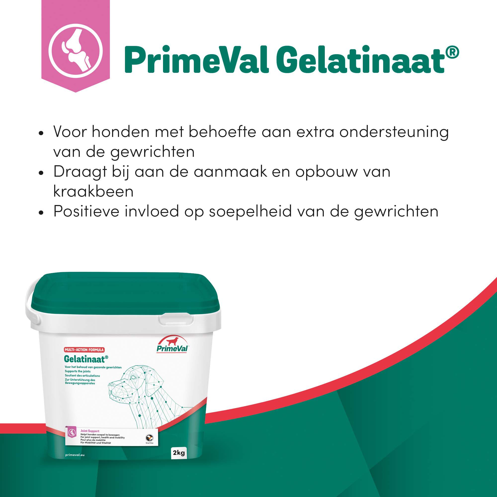 Primeval Gelatinaat Hond - Voedingssupplement - 1.00 cm - 2.00 - 1.00 cm - 1.00 cm