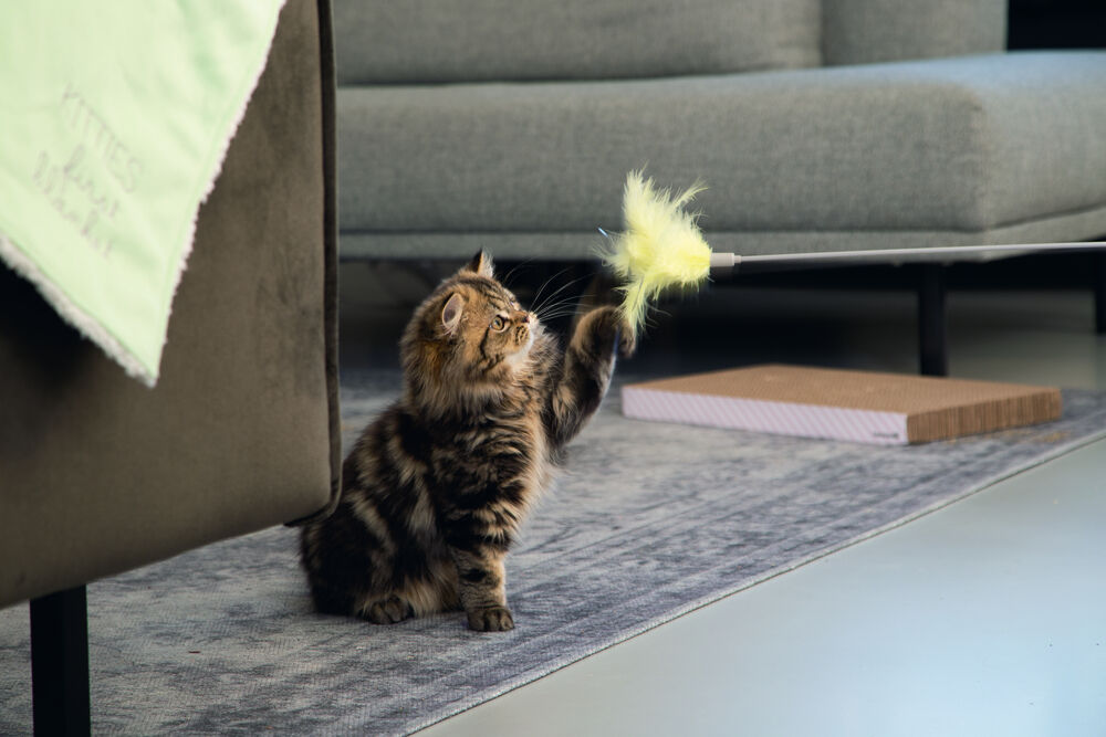 Beeztees Hengel Orry - Kattenspeeltje - Geel - 1 cm