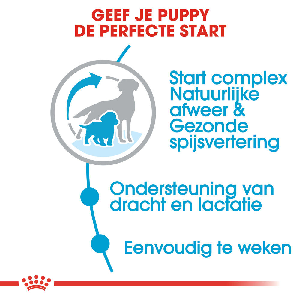 Royal Canin Medium Starter Mother and Babydog - Hondenvoer - 4 - gevogelte