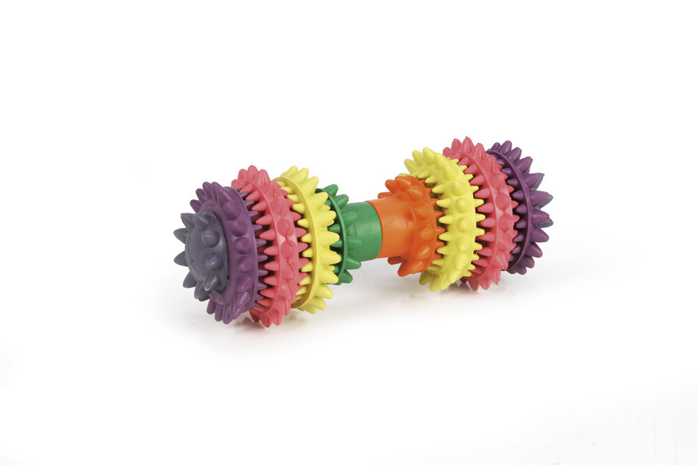 Beeztees - Halter Dental Care - Kauwspeelgoed hond - 14.00 cm - multi - 11.50 cm - 6.00 cm