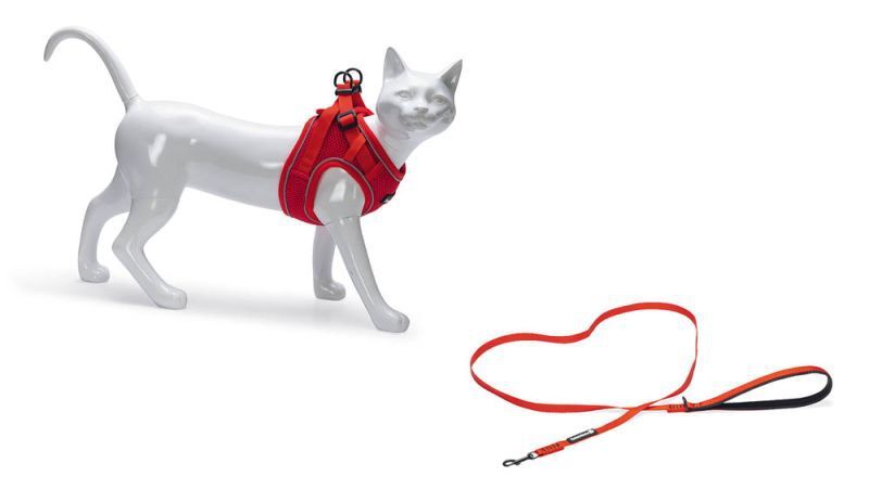 Beeztees Parinca - Kattentuigje - 31 cm - Rood - S-M