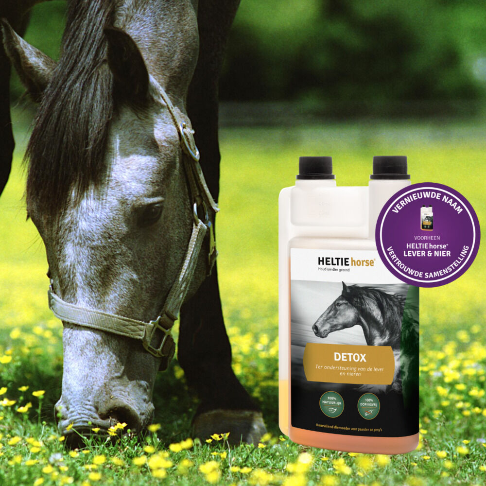 Heltie Horse Detox - Lever & Nieren Supplement - 1 - Flacon