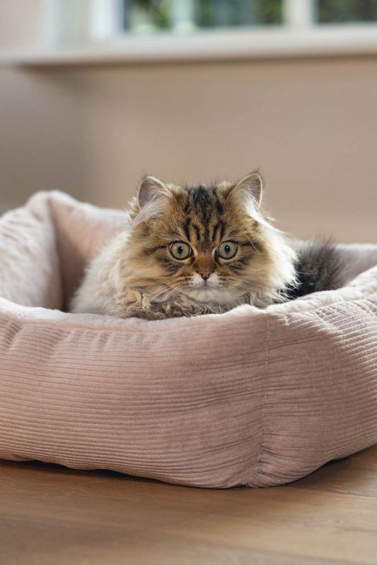 Beeztees Moza - Ligbed - Roze - 15x48x37 cm