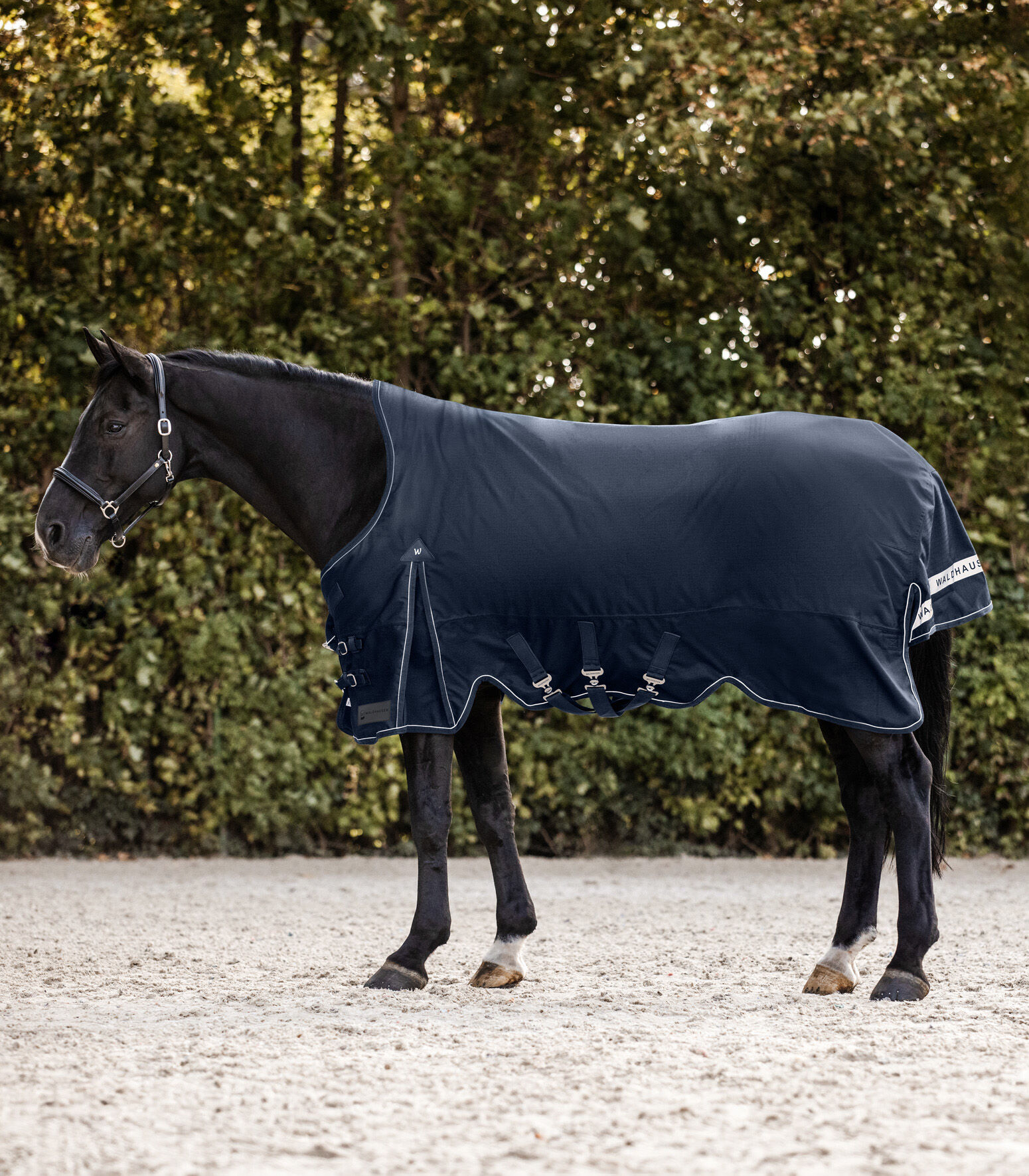 Waldhausen Scandic Hoge nek 200 gr - Winterdeken - Paardendeken