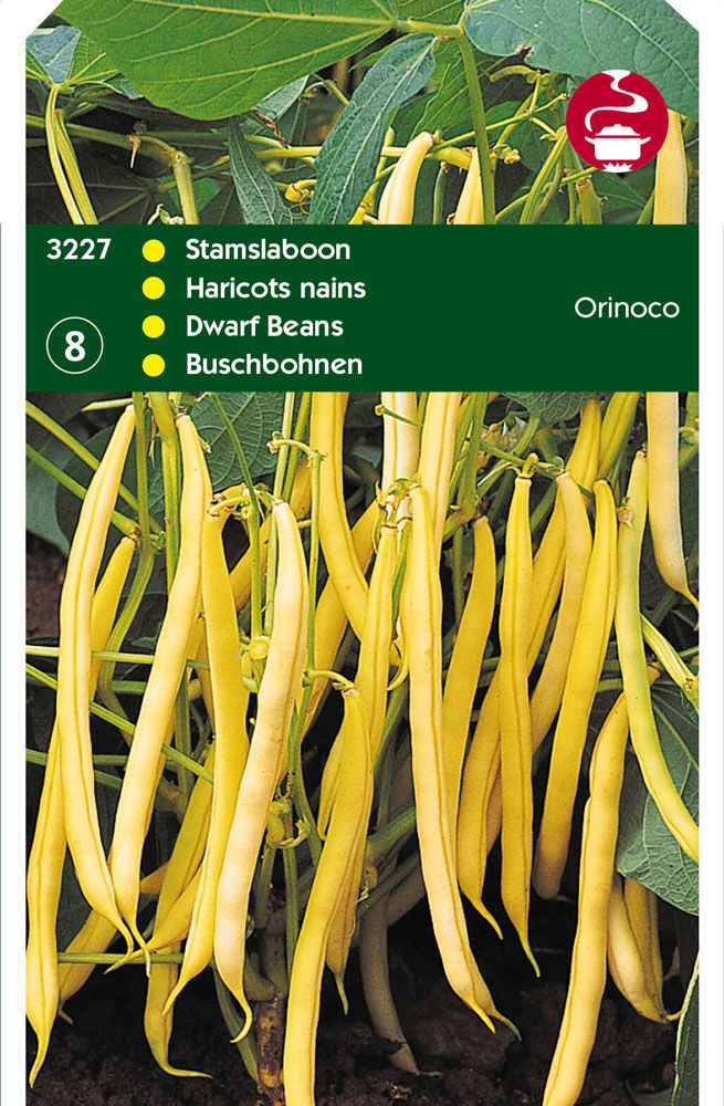 Hortitops Stamslabonen Orinoco - Groentezaden Hortitops Stamslabonen Orinoco - Groentezaden