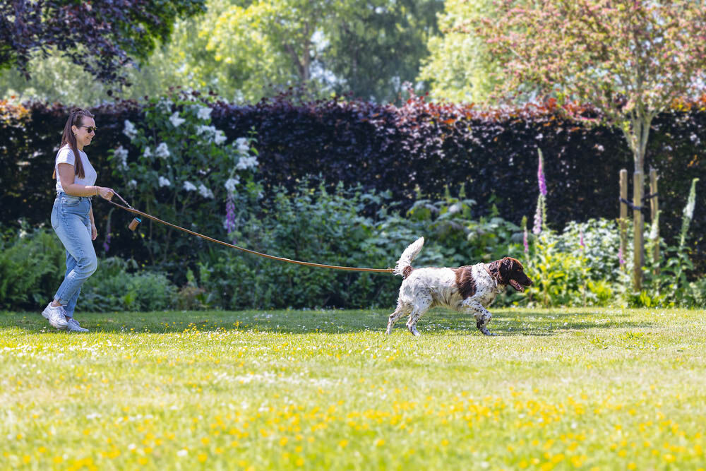 Beeztees Balacron - Poepzakhouder Hond - bruin