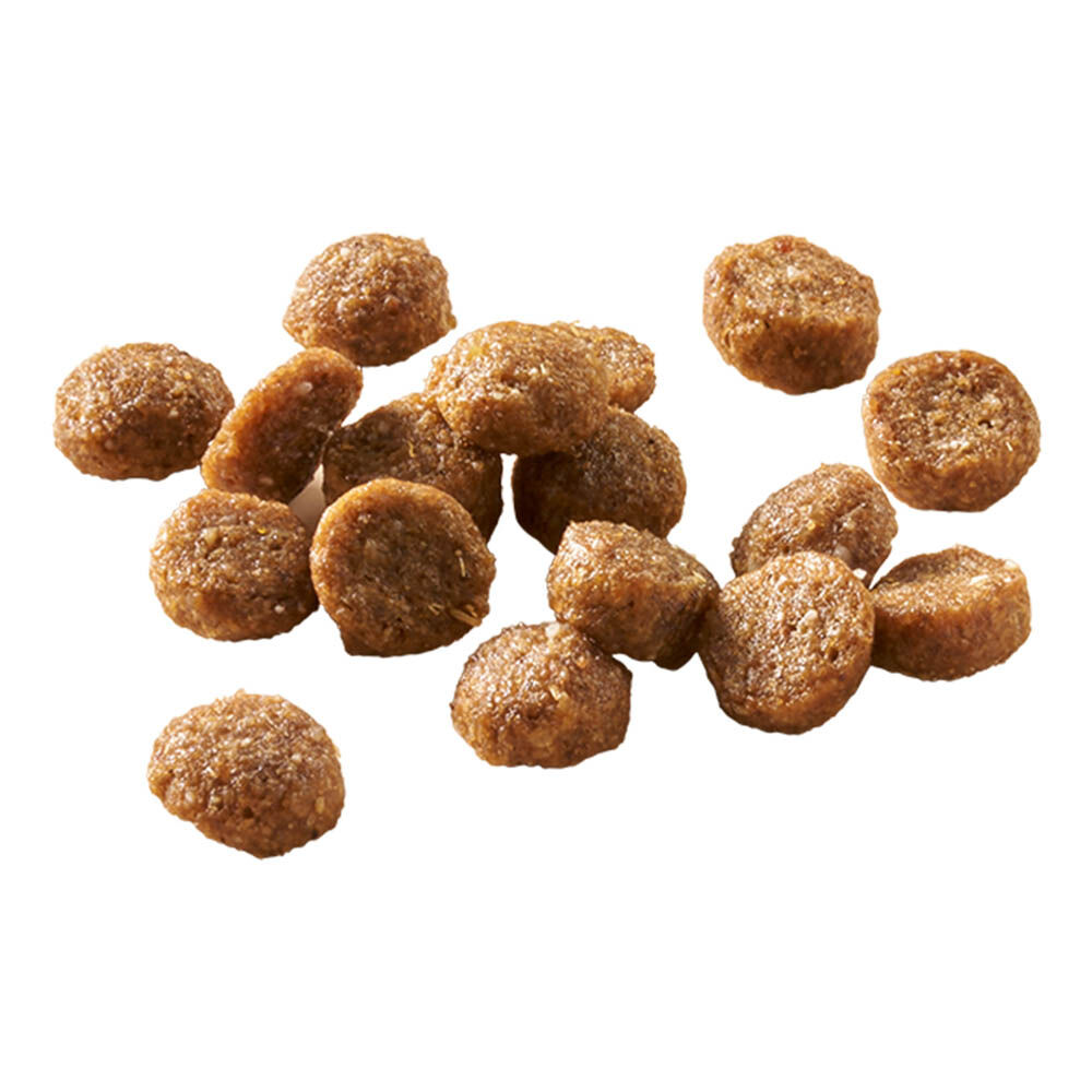 Welkoop Adult in/outdoor - Kattenvoer - 2 - kip, zalm