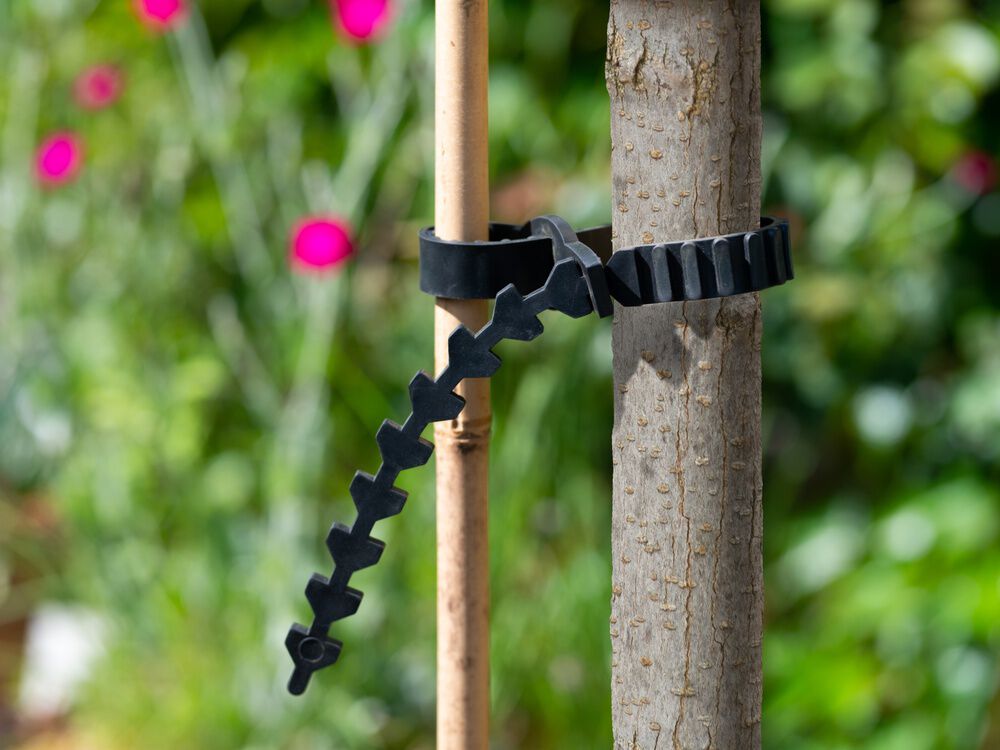 Nature - Boomband - 42.5x9.8x2 cm - 57 cm