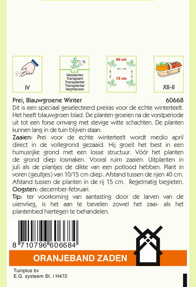 Oranjeband zaden Prei Blauwgroene Winter - Groentezaden - 25 gram