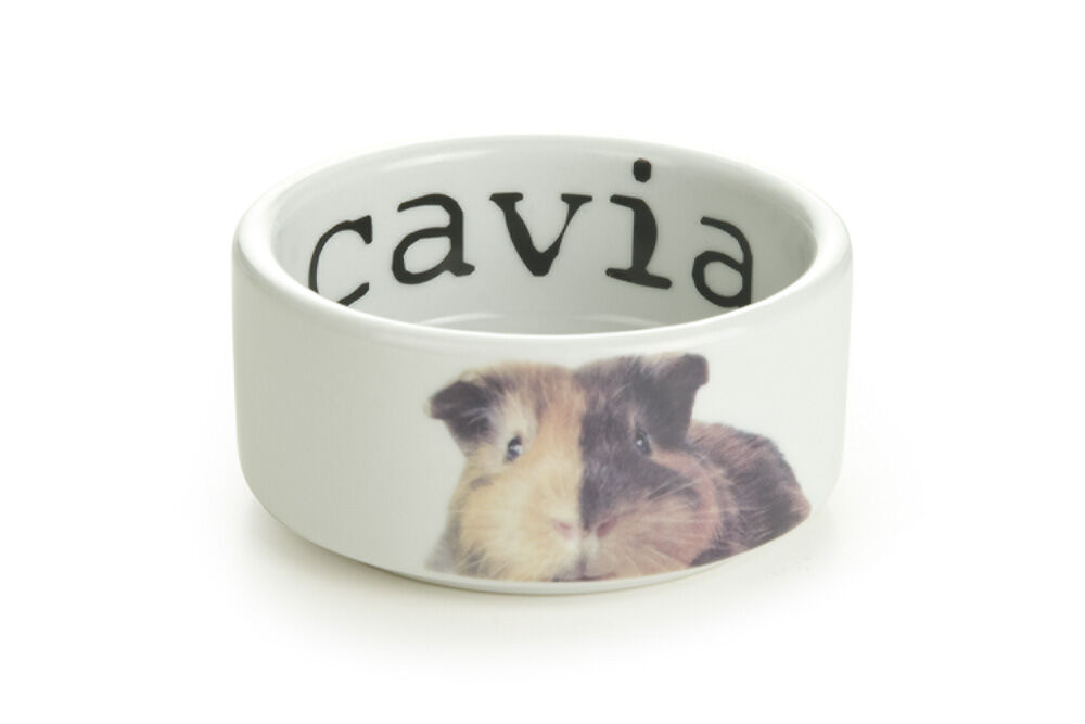 Beeztees Voer of drinkbak Snapshot cavia Beeztees Voer of drinkbak Snapshot cavia