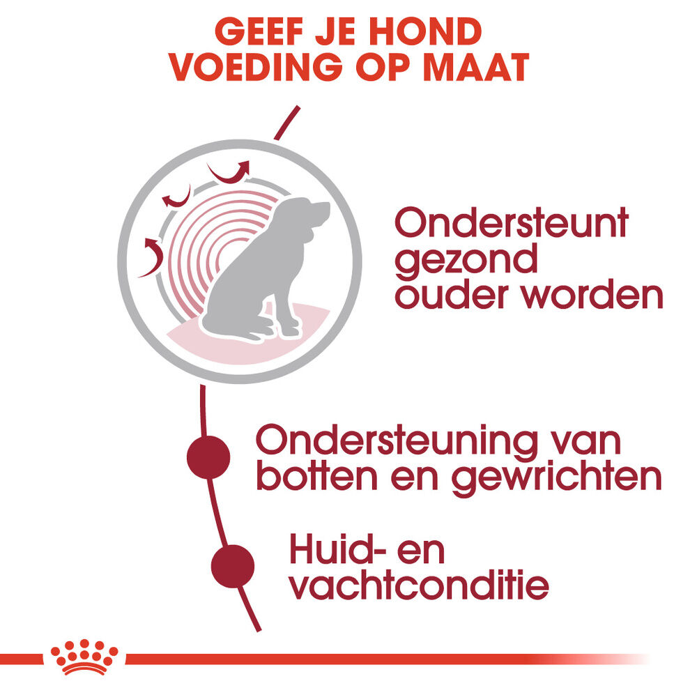 Royal Canin Medium Ageing - Hondenvoer - 1400 - gevogelte