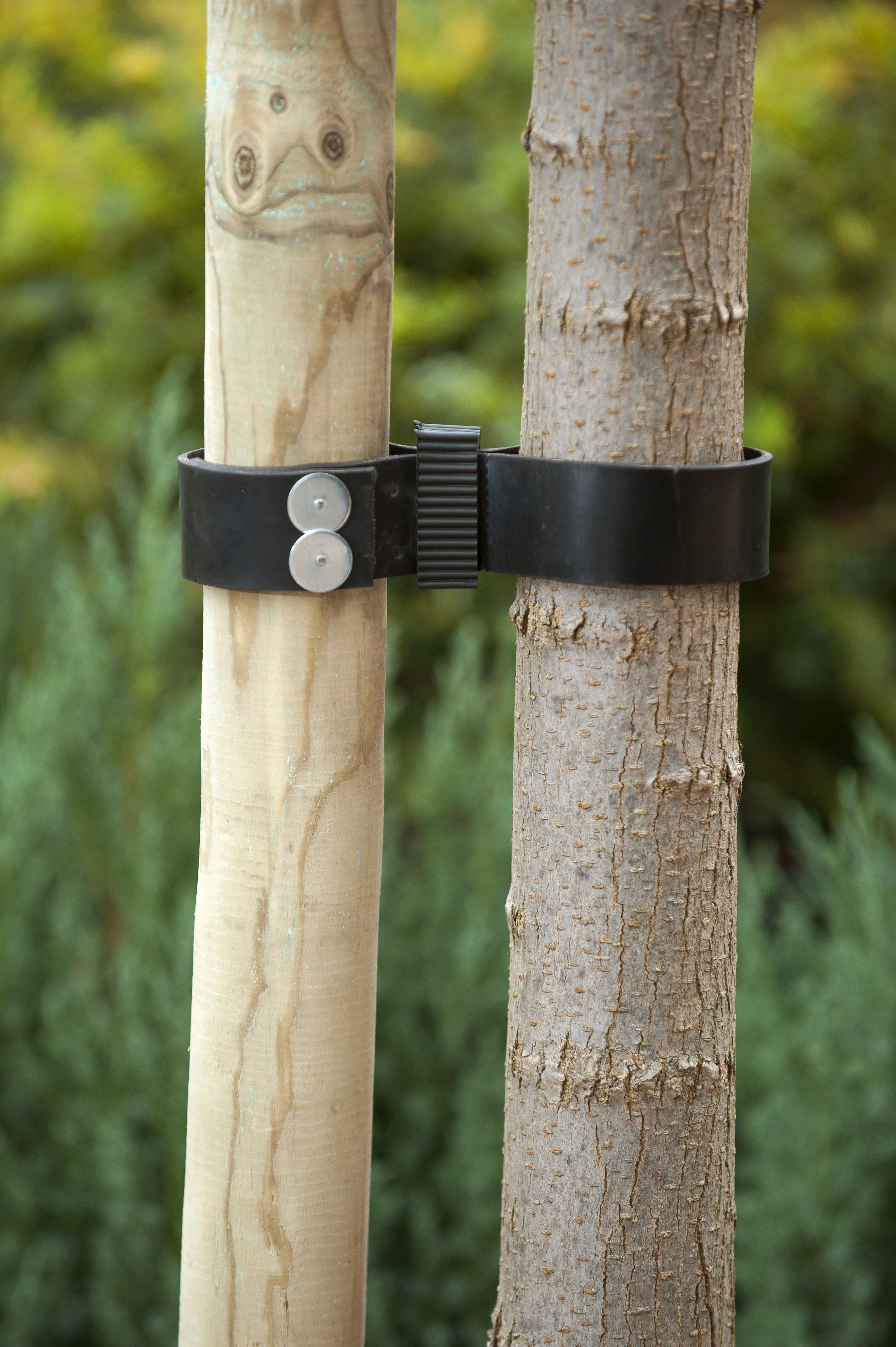Nature Boomband - 90x3.8cm - Touw en Bindmaterialen Nature Boomband - 90x3.8cm - Touw en Bindmaterialen