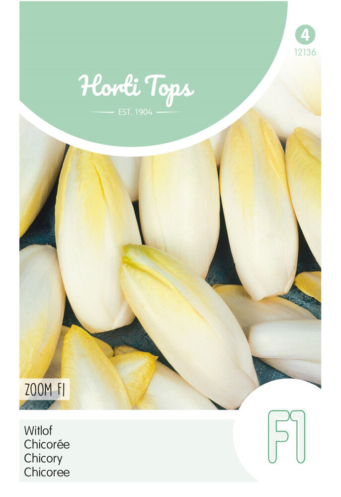 Hortitops Witlof Cichorium intybus Witlof Zoom F1...Klasse 1 - Groentezaden Hortitops Witlof Cichorium intybus Witlof Zoom F1...Klasse 1 - Groentezaden