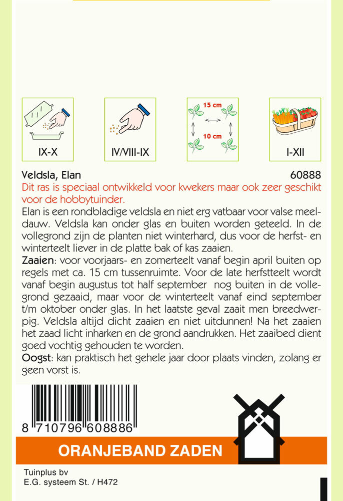 Oranjeband zaden Veldsla Elan - Groentezaden