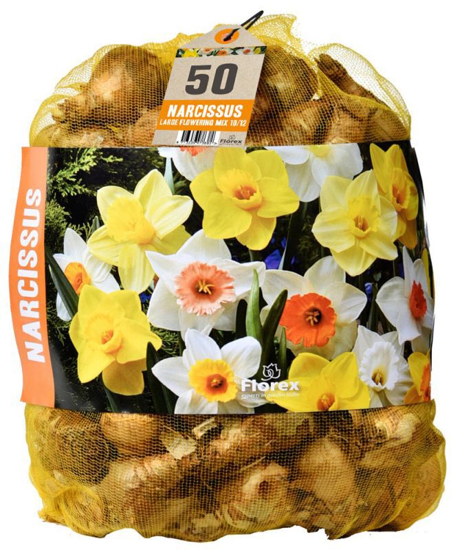 Florex Narcissen Voordeelverpakking  - Bloembollen Florex Narcissen Voordeelverpakking  - Bloembollen