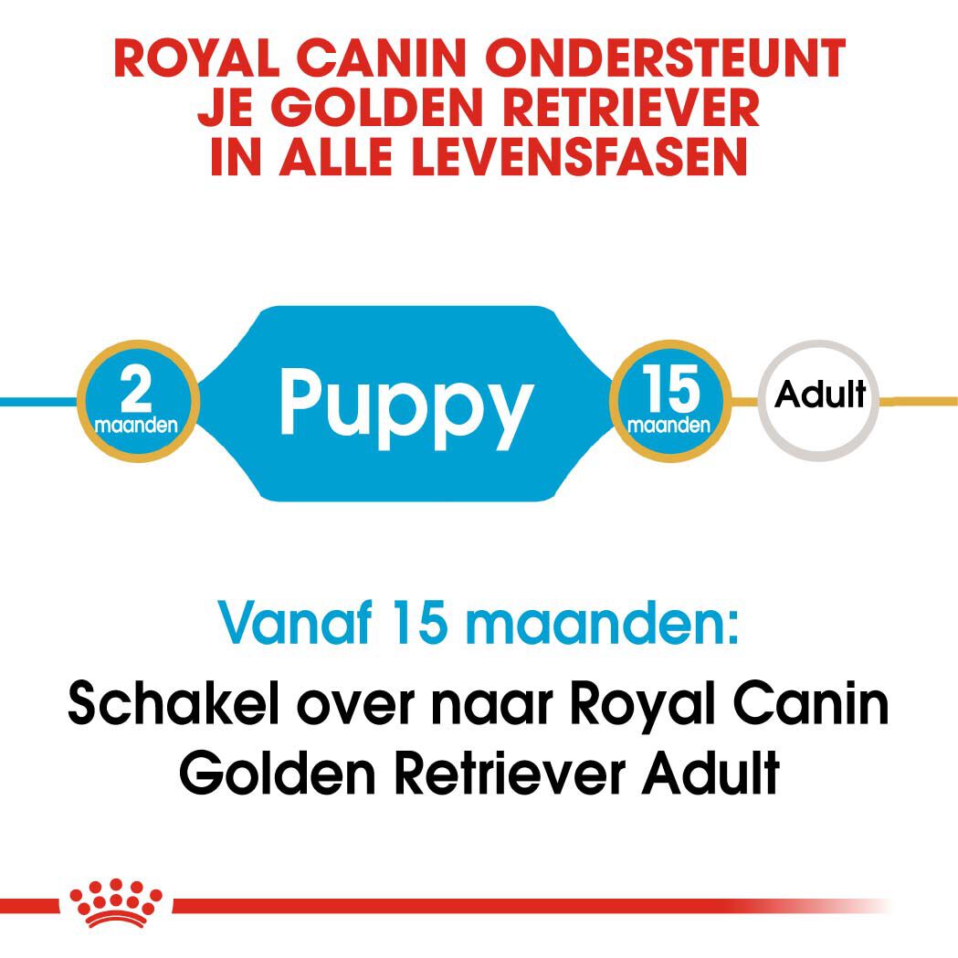 Royal Canin Golden Retriever Junior - Hondenvoer - 12 - gevogelte