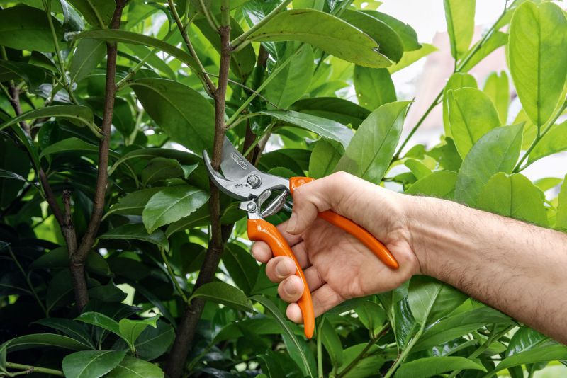 STIHL PG 10 - Snoeischaar