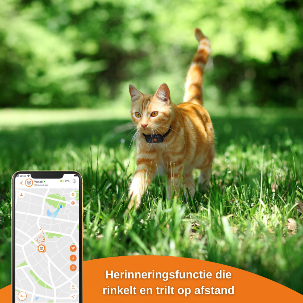 Weenect XS - GPS Tracker Kat - 1.00 cm - Zwart/Oranje - 6.00 cm - 1.00 cm