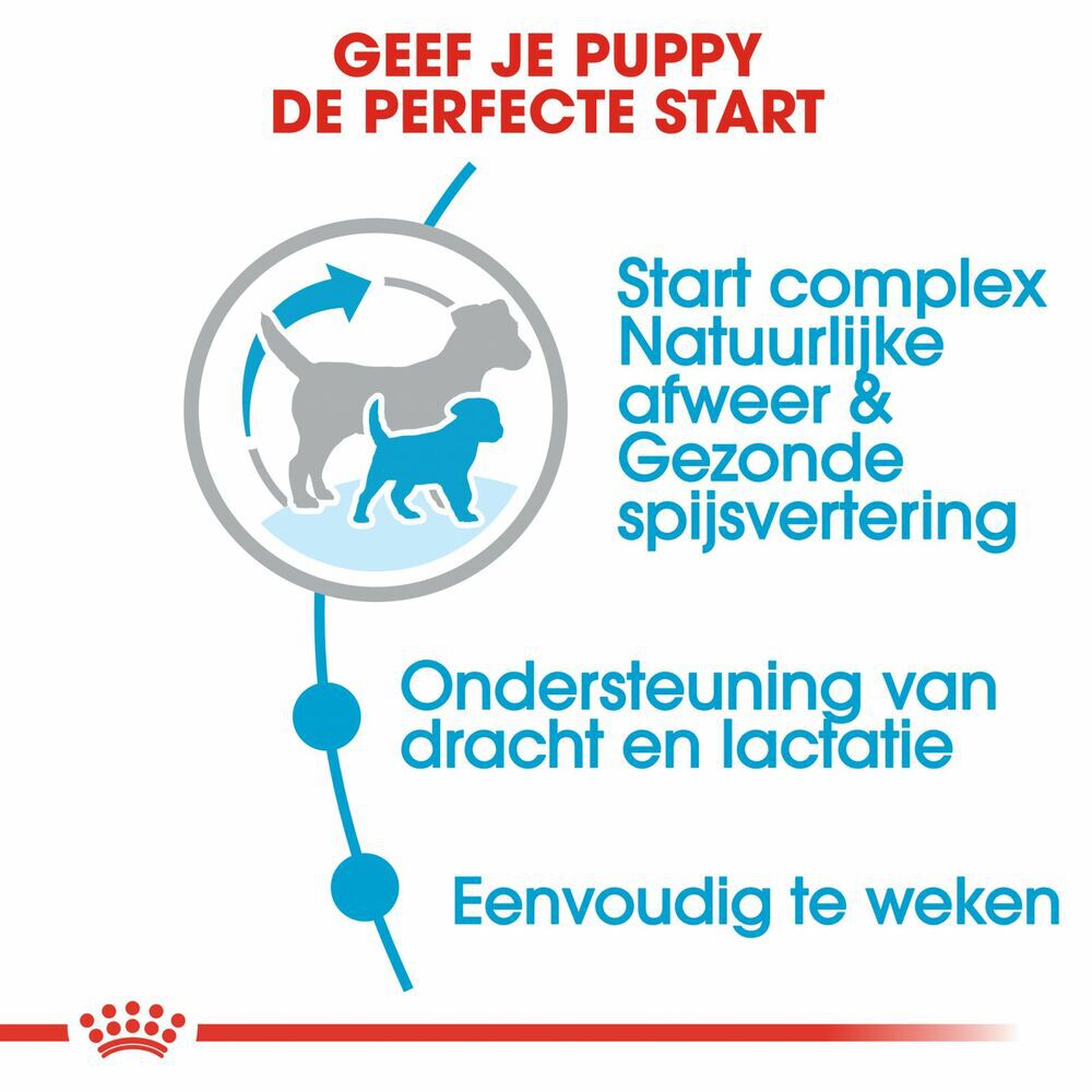 Royal Canin SHN Mini Start Babydog - Hondenvoer - 4 - gevogelte