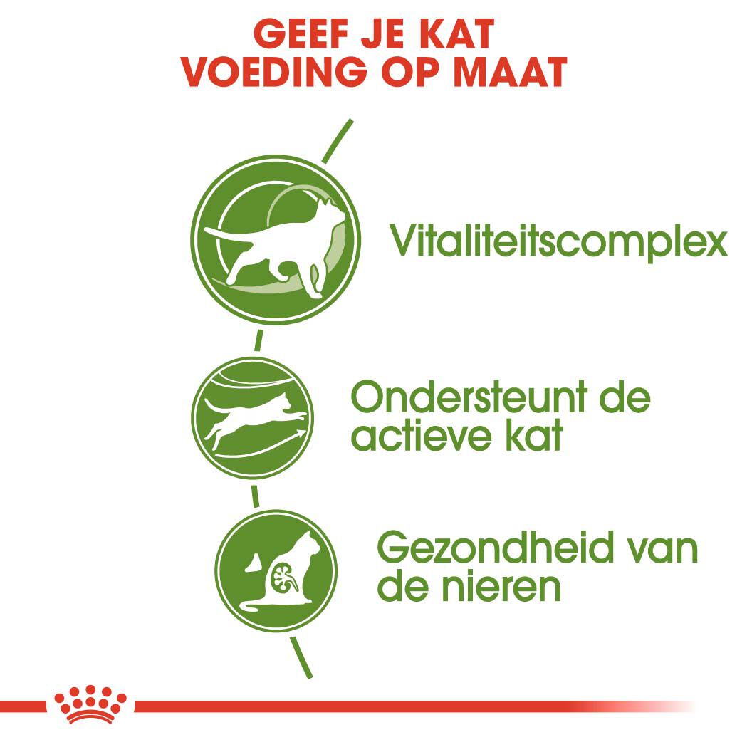 Royal Canin Outdoor 7+ - Kattenvoer - 2 - Gevogelte