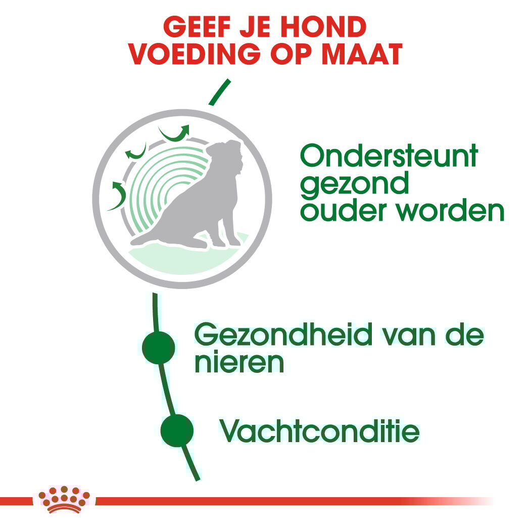 Royal Canin Mini Ageing 12+ - Hondenvoer - 3500 - gevogelte