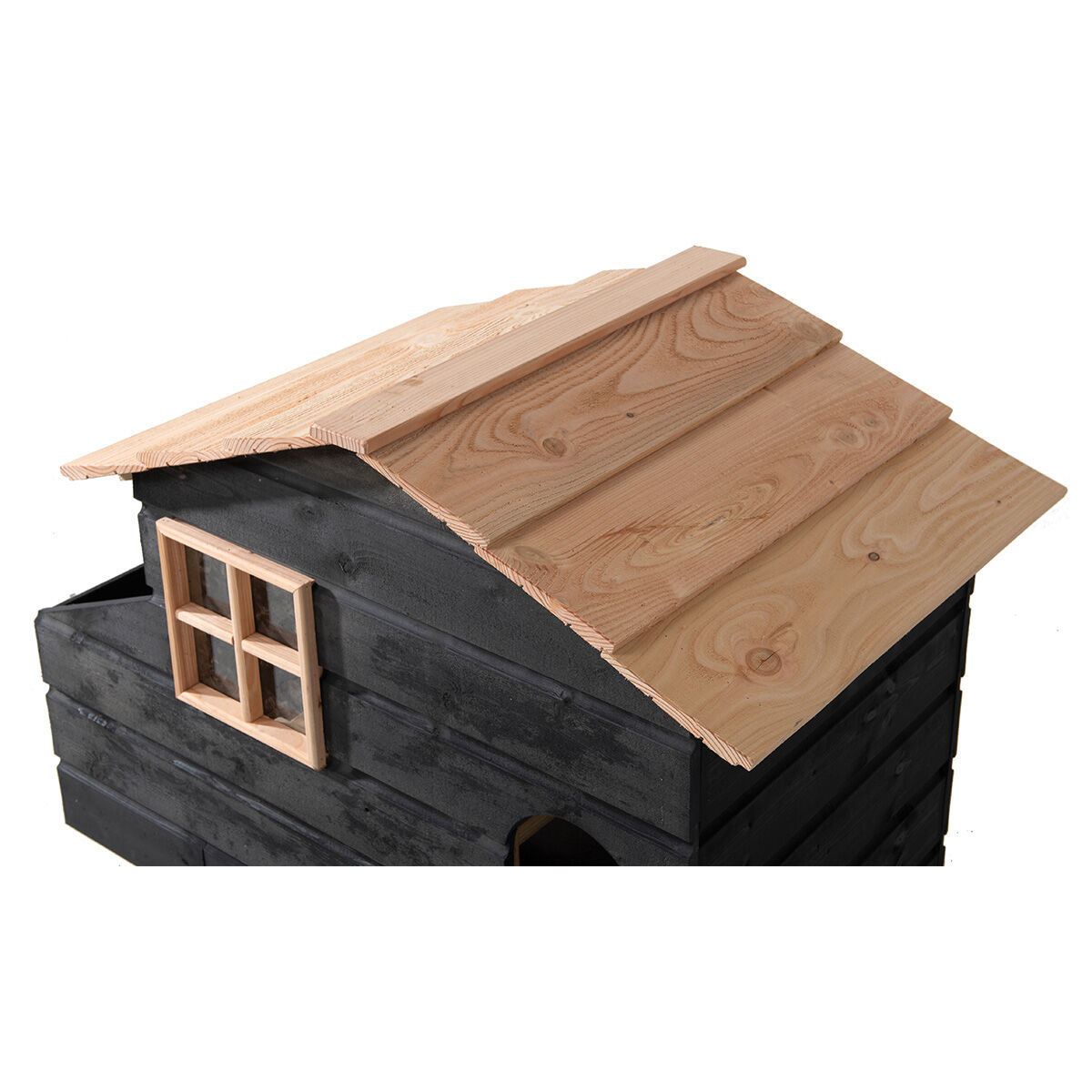 Glorenza  Harm - Kippenhok