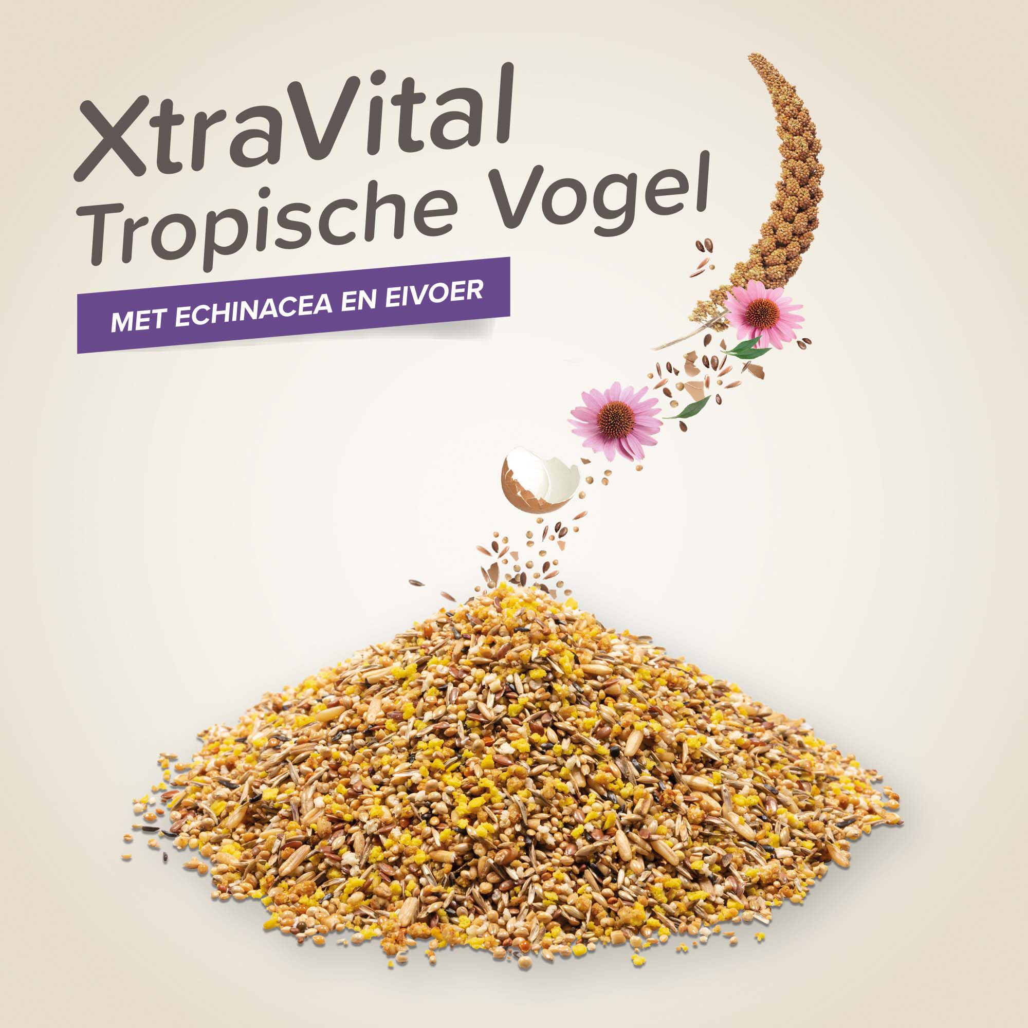 Beaphar Xtra Vital  Kanarie - Vogelvoer - 500 - Volledig voer