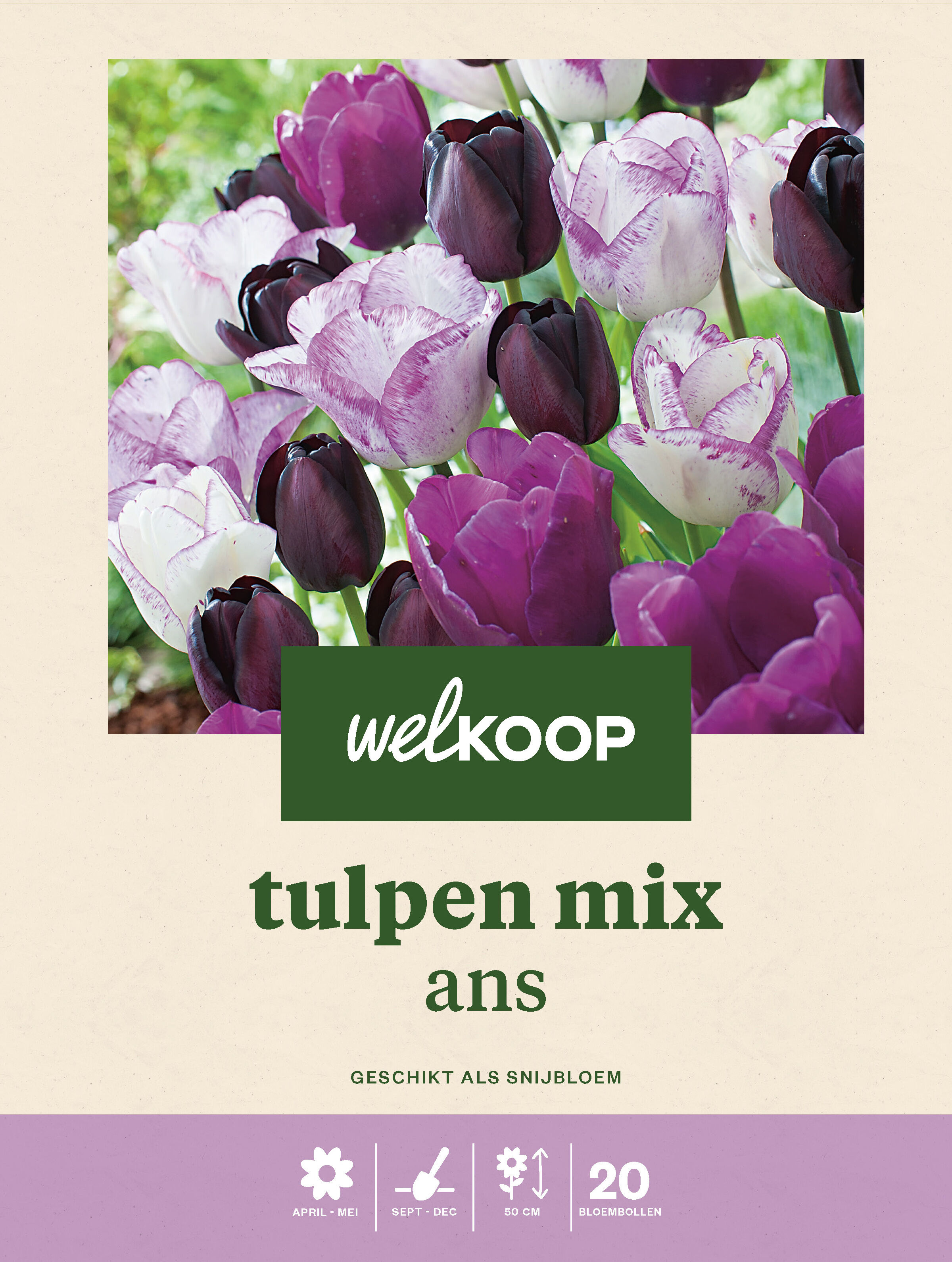 Welkoop Tulpen mix Ans - Bloembollen Welkoop Tulpen mix Ans - Bloembollen