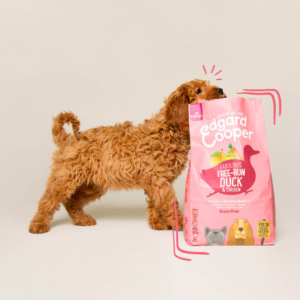 Edgard & Cooper Puppy - Hondenvoer - Eend - Kip - 12 kg