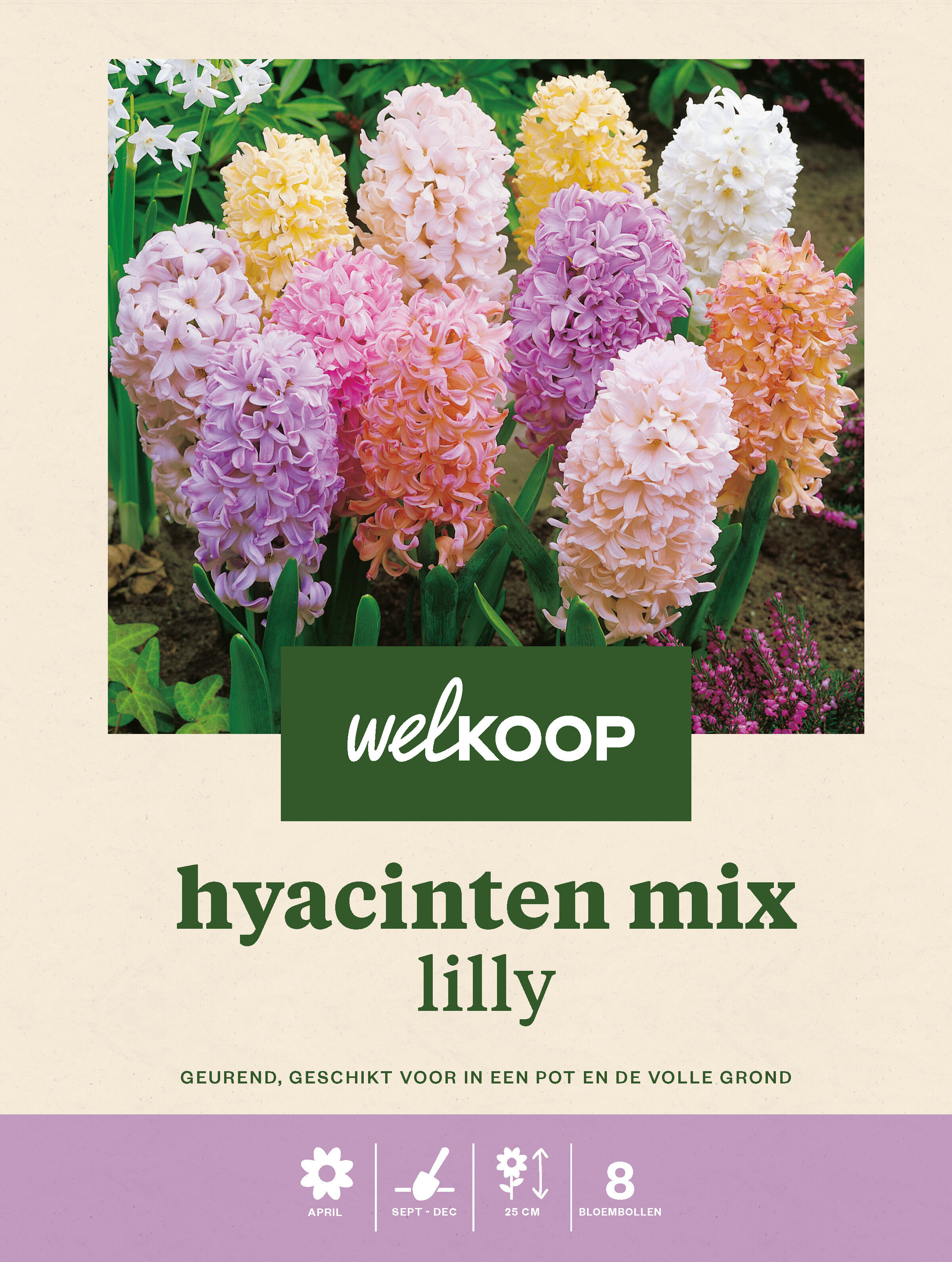 Welkoop Hyacinten mix Lilly - Bloembollen Welkoop Hyacinten mix Lilly - Bloembollen