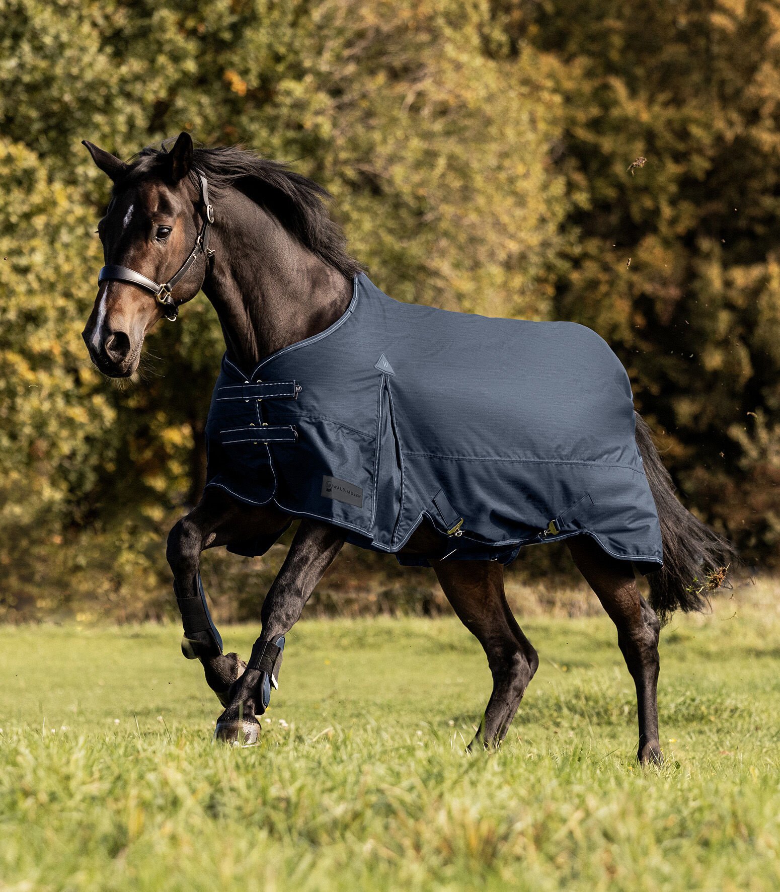 Waldhausen Arctic 300 gr - Winterdeken - Paardendeken - 1.00 cm - Blauw - 1.00 cm - 115/165 - 1.00 cm