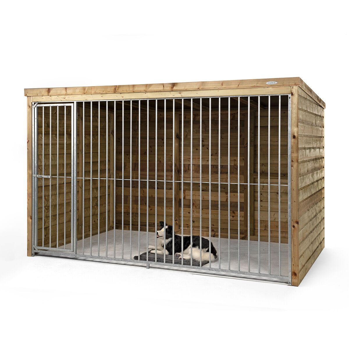 Voldux Beer - Hondenkennel Voldux Beer - Hondenkennel