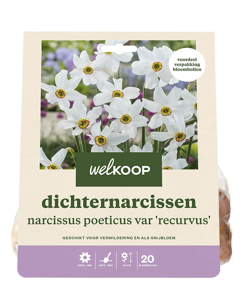 Welkoop Narcis Elena - Bloembollen Welkoop Narcis Elena - Bloembollen