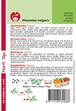 Hortitops Stamslaboon Ferrari - Groentezaden