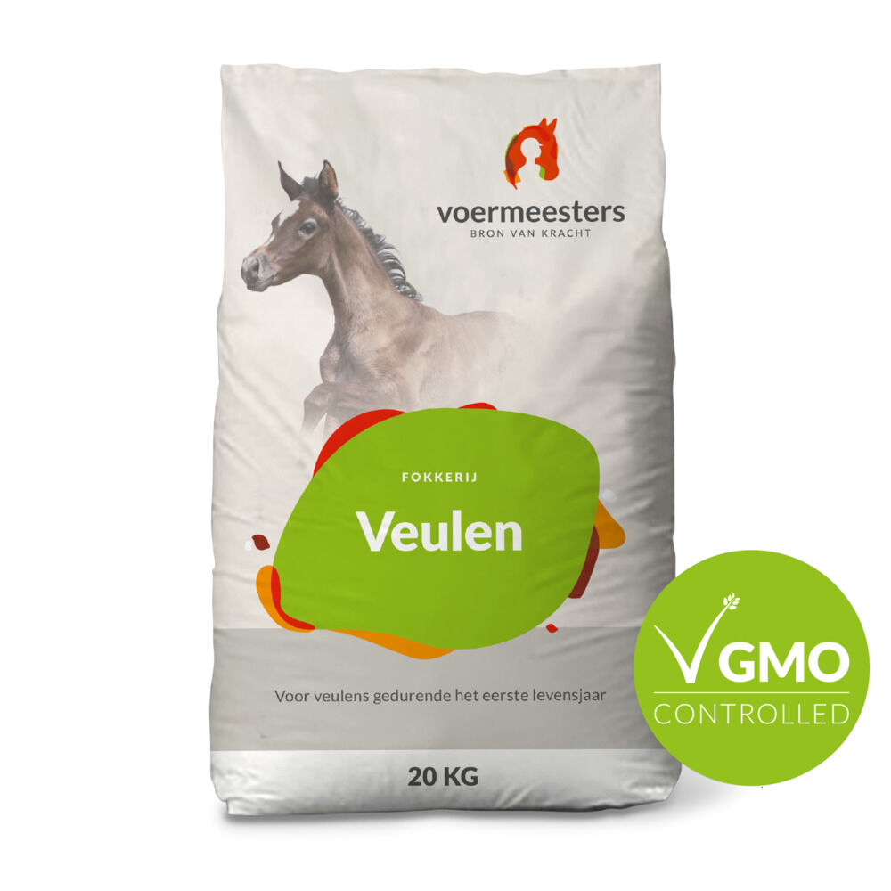 Voermeesters Veulen - Fokkerij