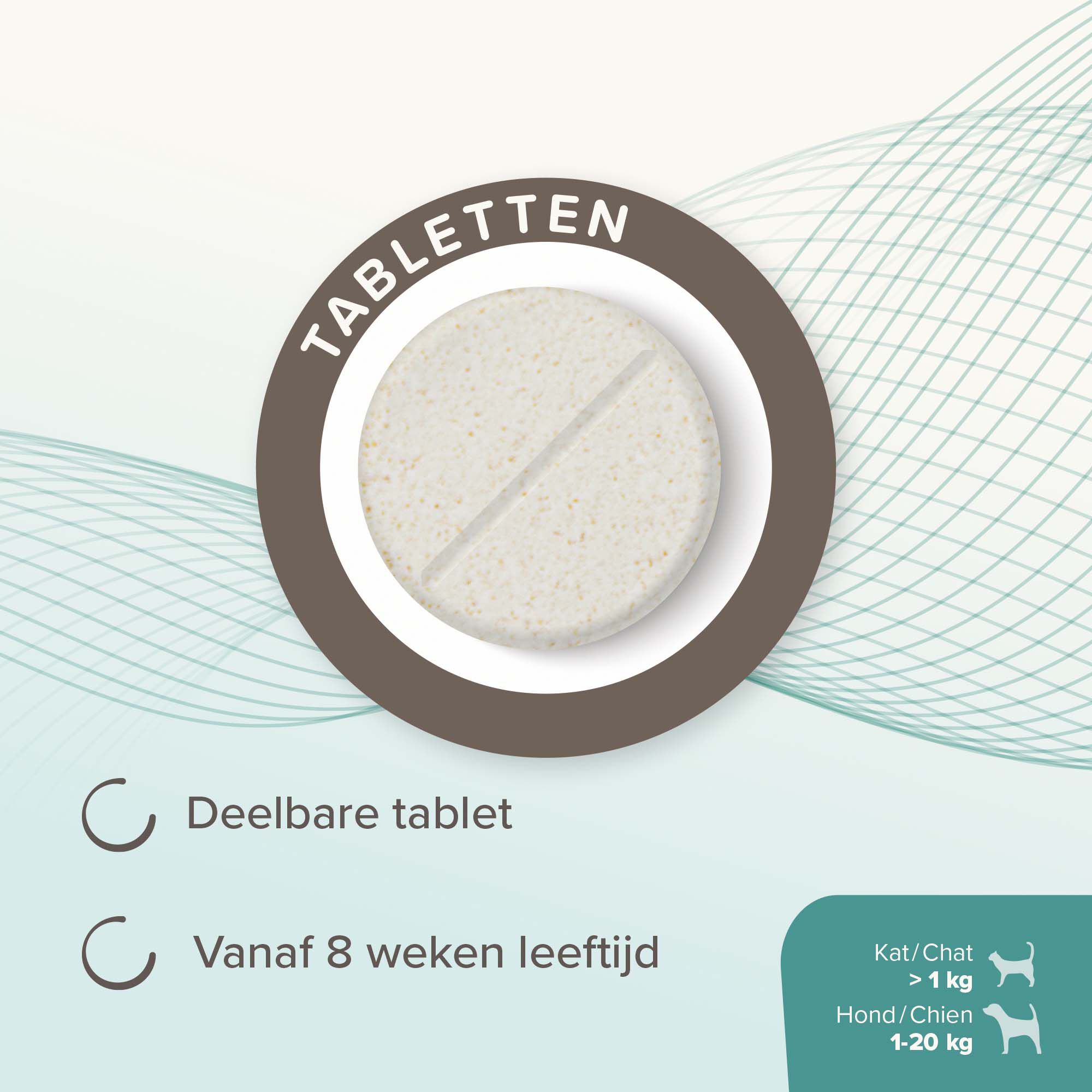 Beaphar IntestoPro Kat - Hond tot 20kg - Verlicht darmproblemen - S