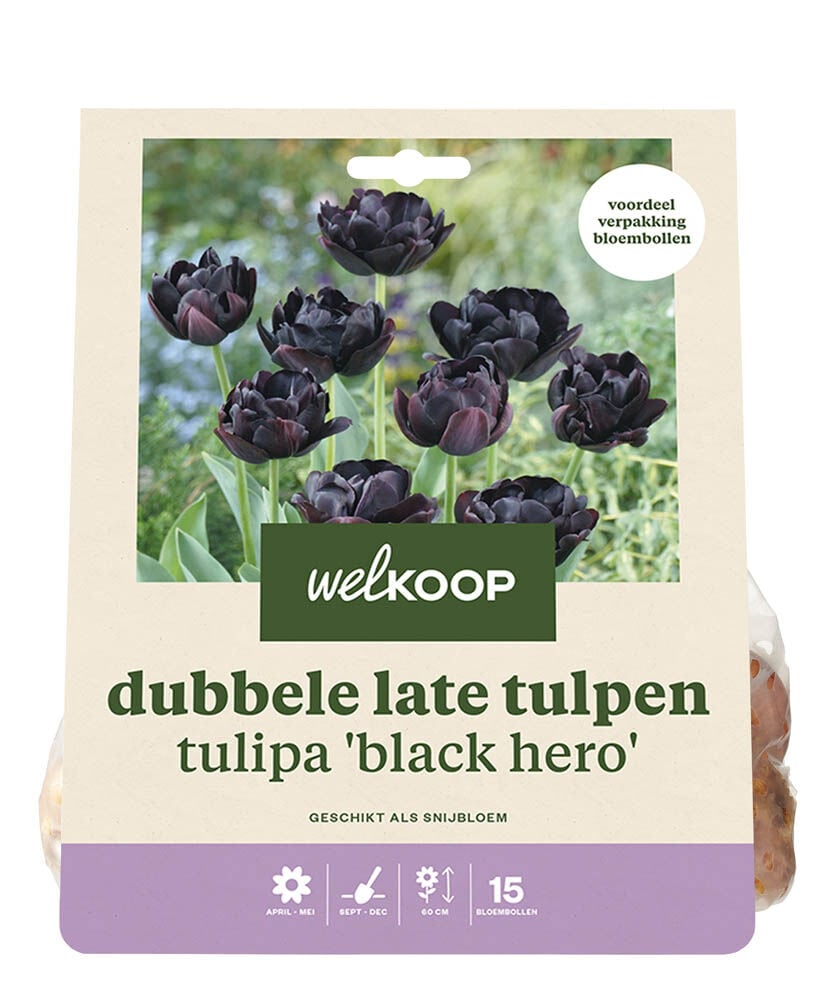 Welkoop Dubbele Tulp Maaike - Bloembollen Welkoop Dubbele Tulp Maaike - Bloembollen