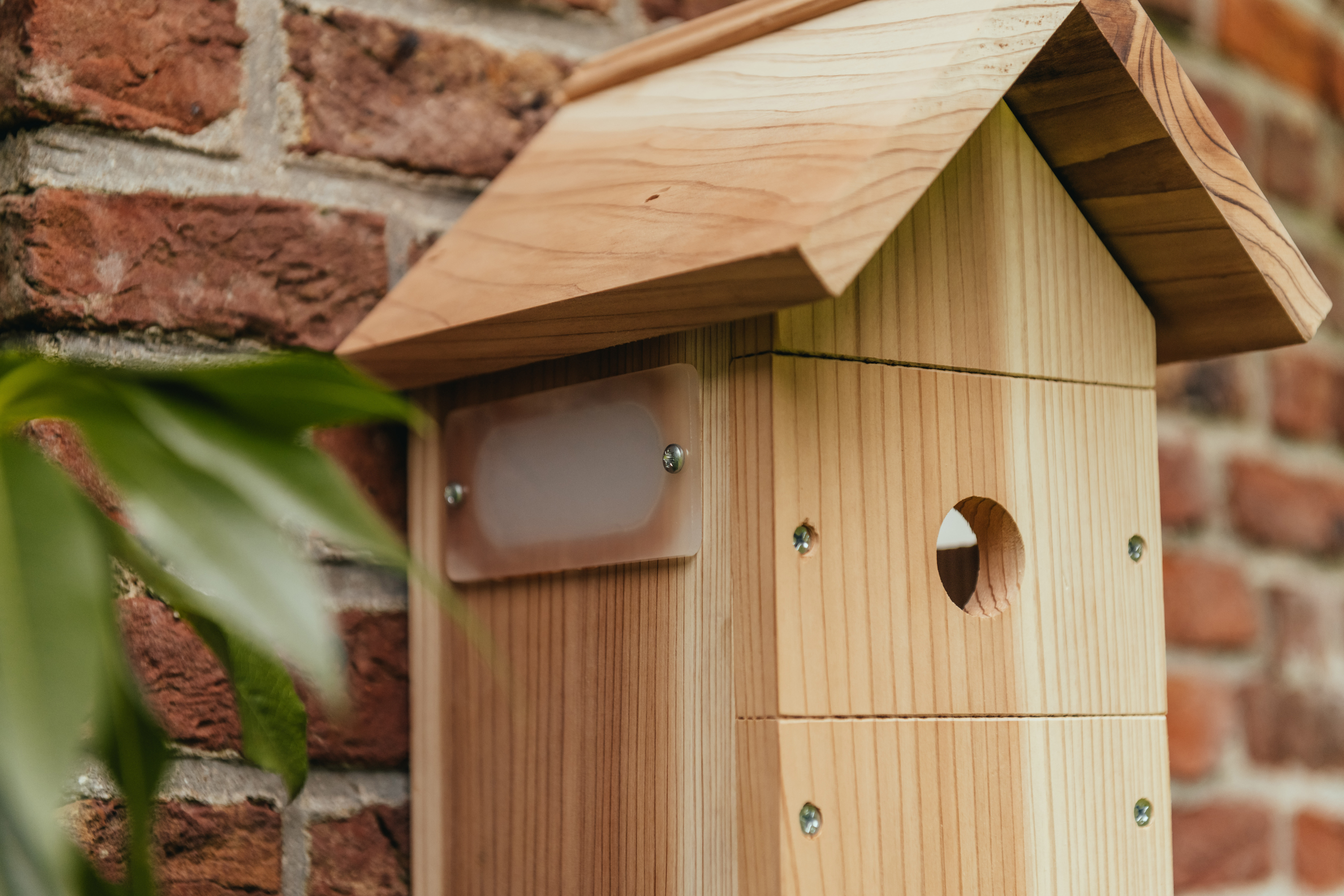 Nestera - Nestkast - met Wifi-Camera op Zonne-energie