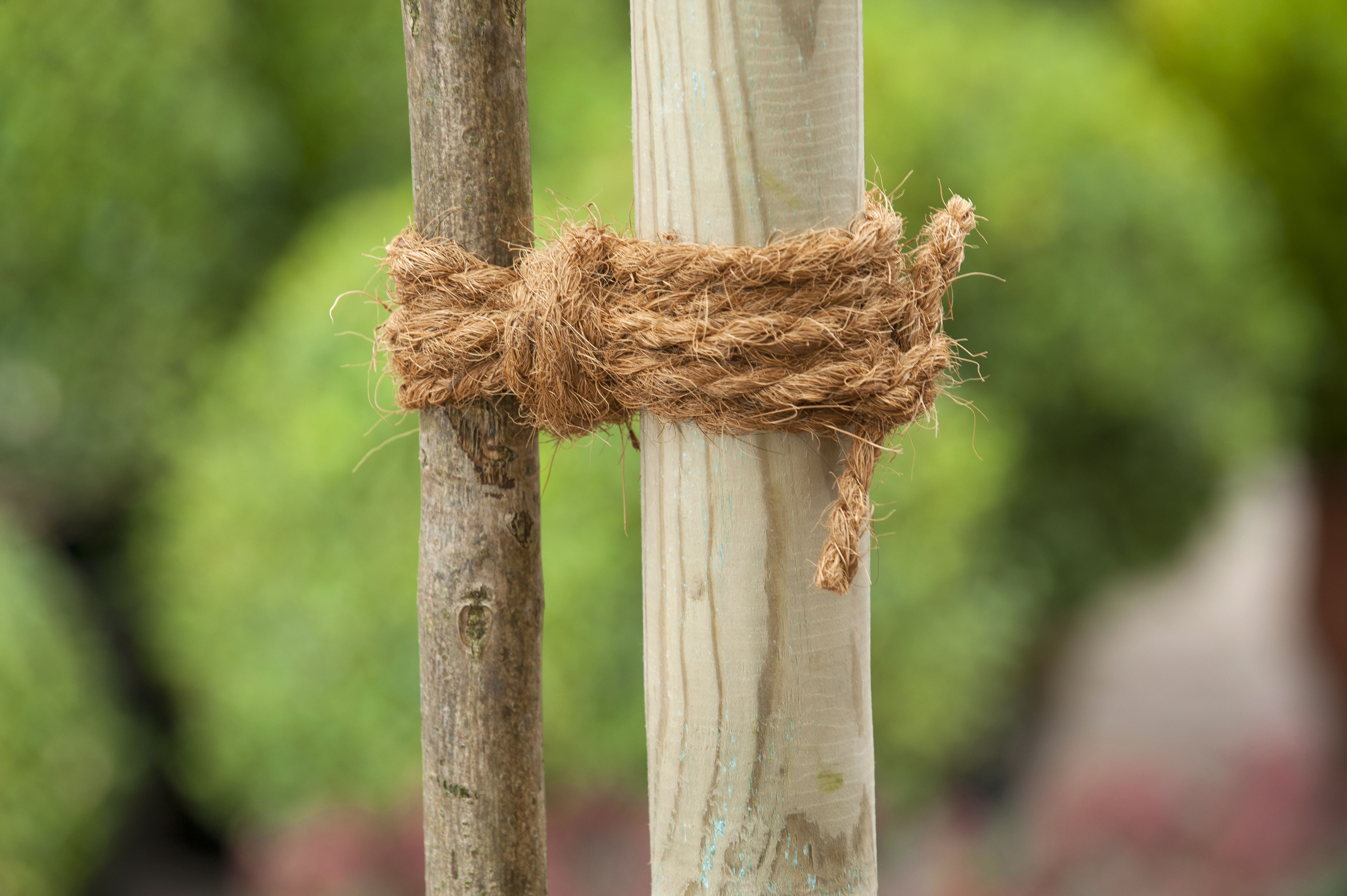 Nature Kokostouw - Touw en Bindmaterialen - 7.00x29.00x29.00 cm Nature Kokostouw - Touw en Bindmaterialen - 7.00x29.00x29.00 cm