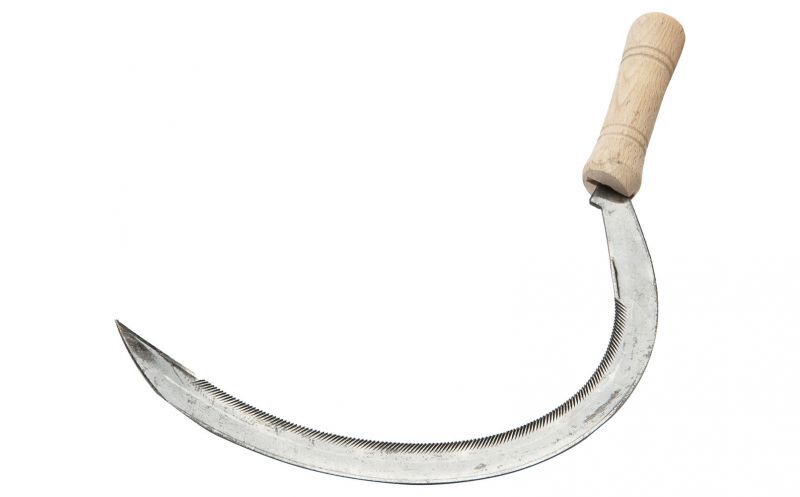 Welkoop Grassikkel - Zeisen Welkoop Grassikkel - Zeisen