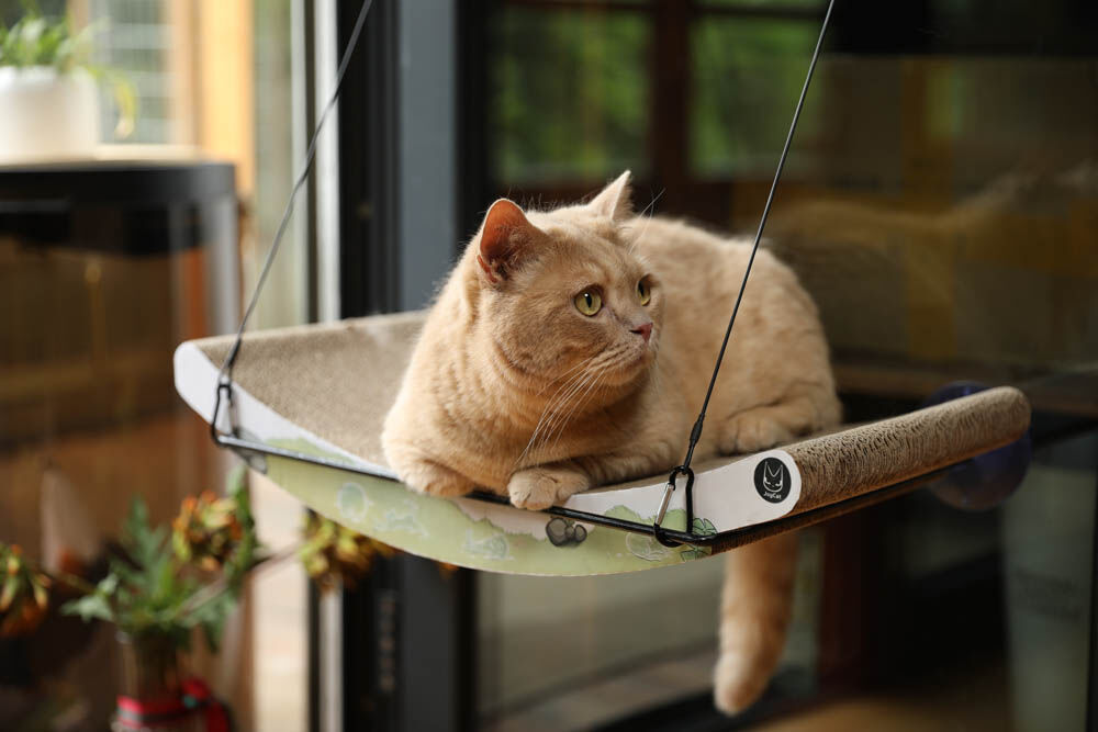 JoyCat - Raamschommel - 15.00 cm - null - 52.00 cm - 11.50 cm