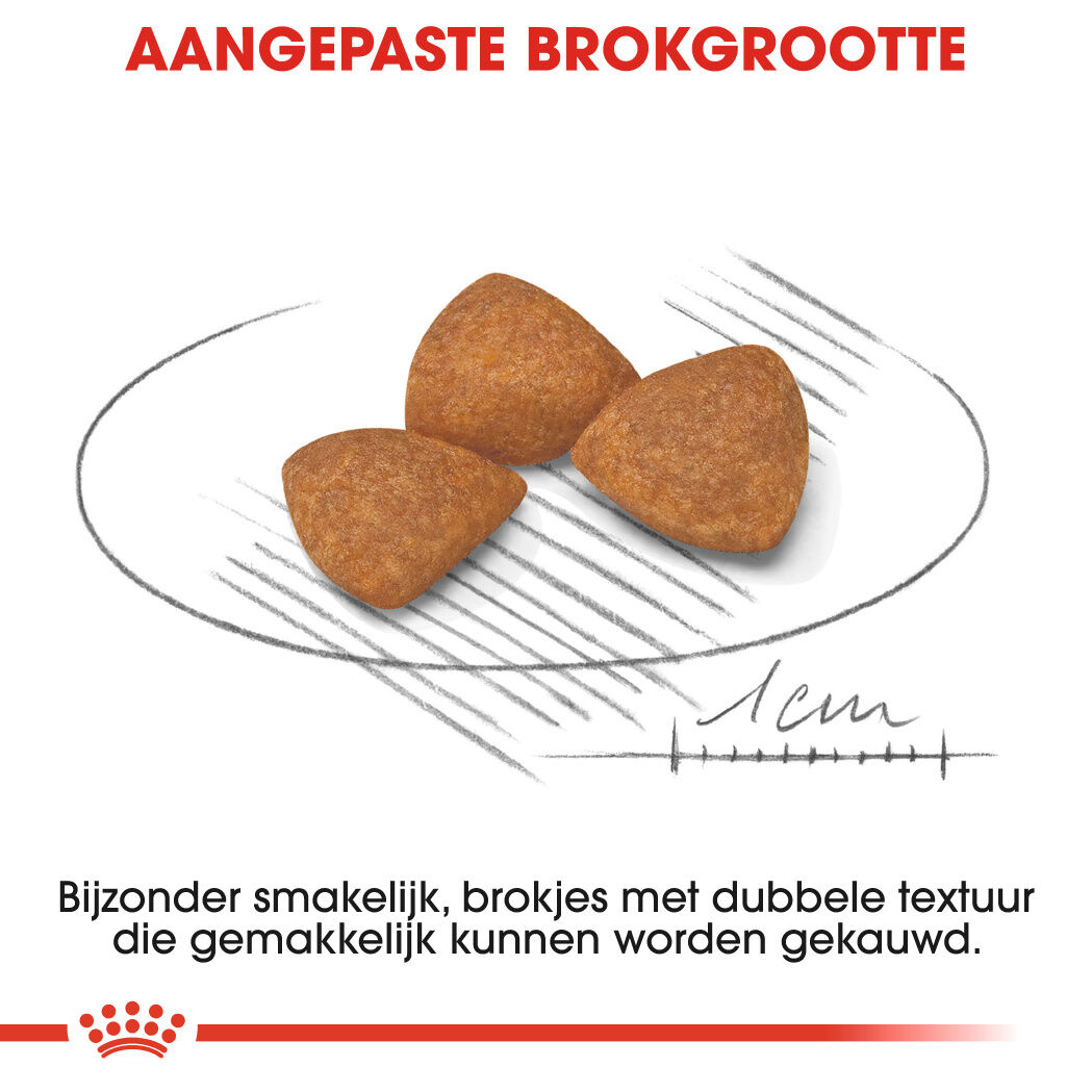 Royal Canin X-Small Adult 12+ - Hondenvoer - 1.5 - gevogelte