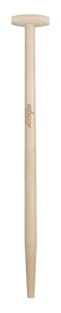 Welkoop - Spearwel - Losse stelen Welkoop - Spearwel - Losse stelen
