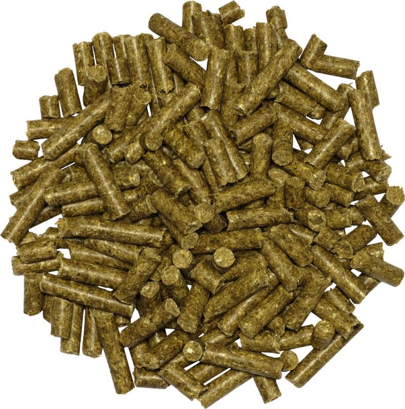 Equilannoo Condition Cube - Basisvoeding - 20