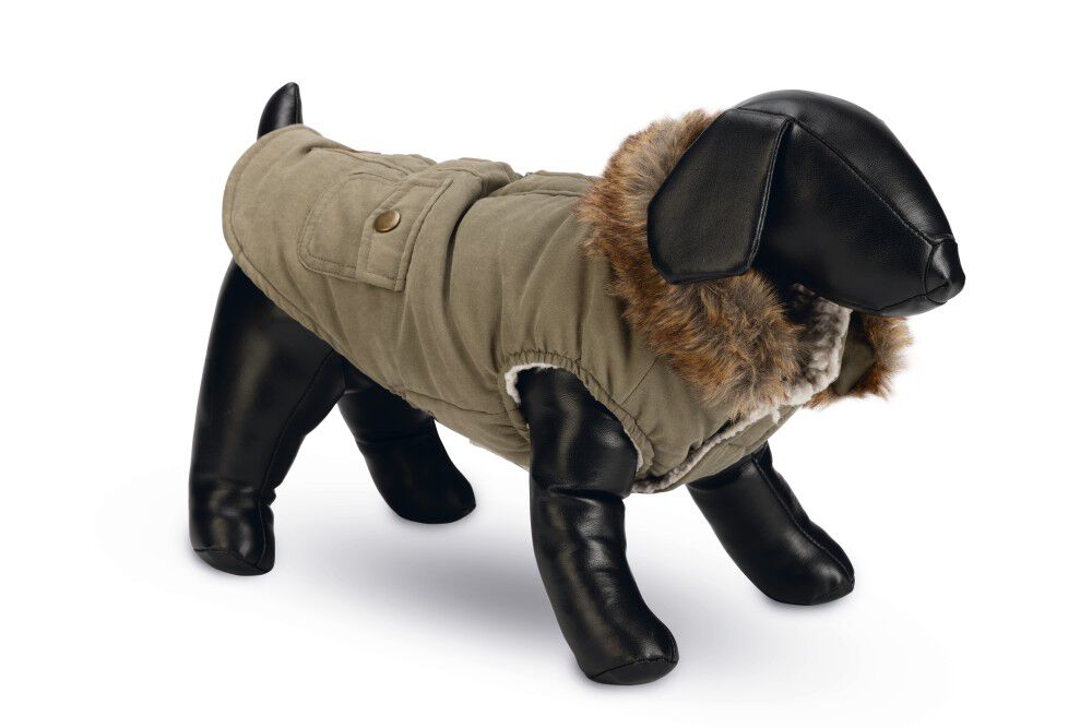 Designed by Lotte Philos - Hondenjas - groen - 24 cm - XS Designed by Lotte Philos - Hondenjas - groen - 24 cm - XS