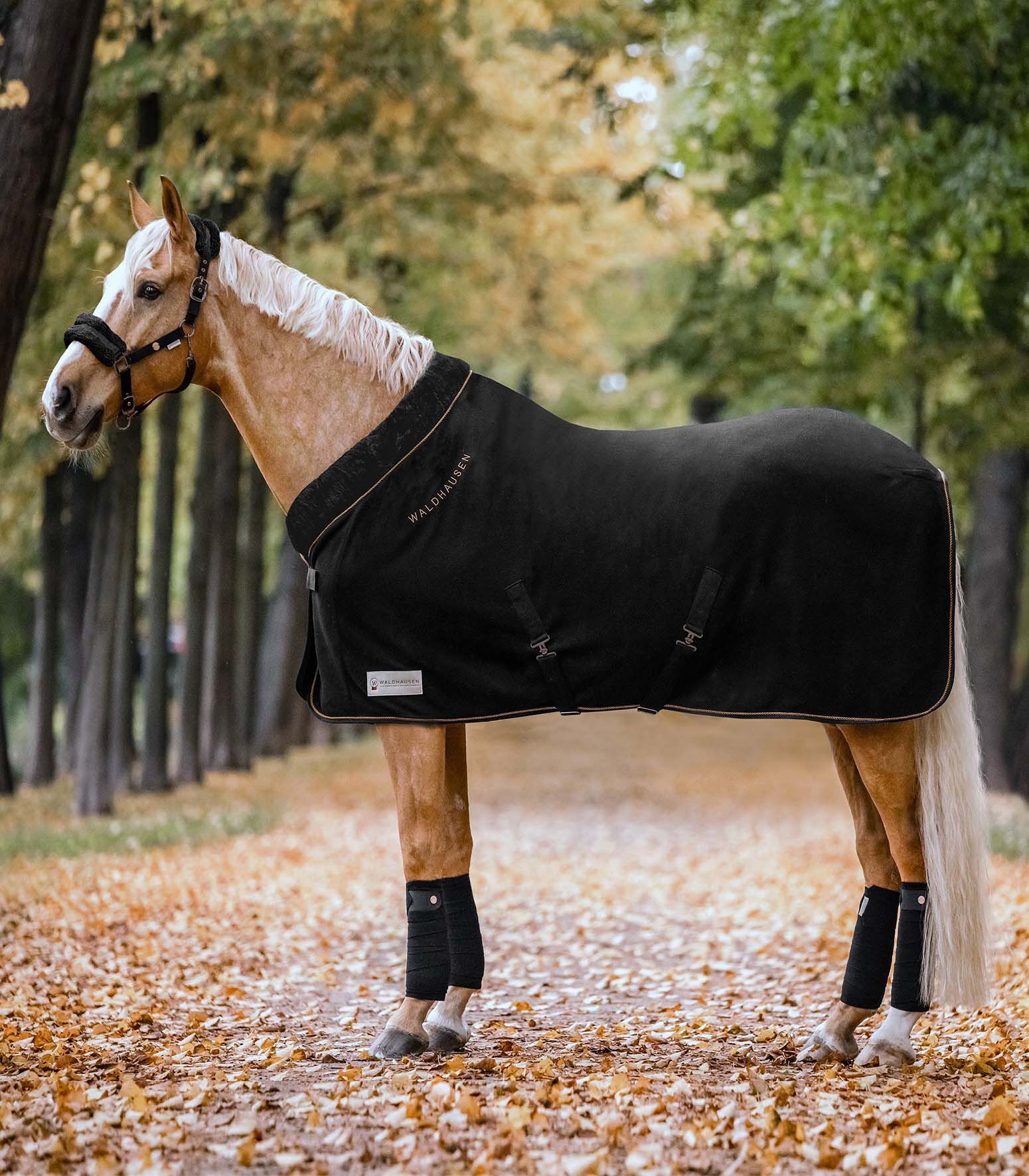 Waldhausen Modern Rose - Zweetdeken fleece